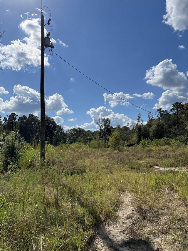 6030 Hickory Grove Cemetery Rd, Silsbee, TX 77656 - photo 10