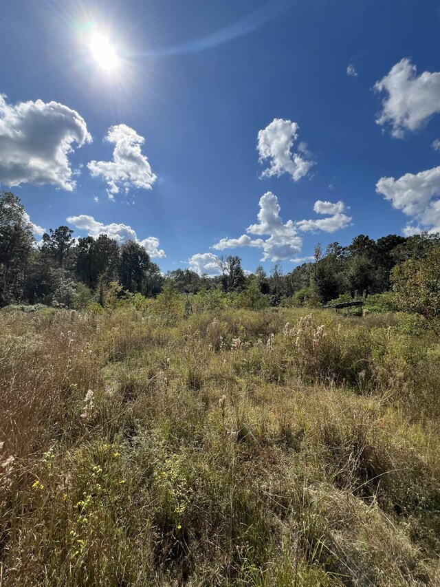6030 Hickory Grove Cemetery Rd, Silsbee, TX 77656 - photo 14