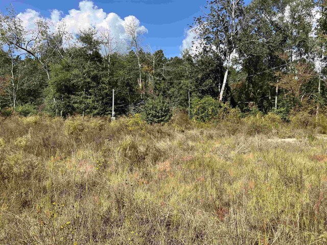 6030 Hickory Grove Cemetery Rd, Silsbee, TX 77656 - photo 13