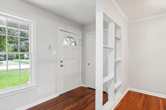 entryway featuring dark wood-type flooring and ornamental molding