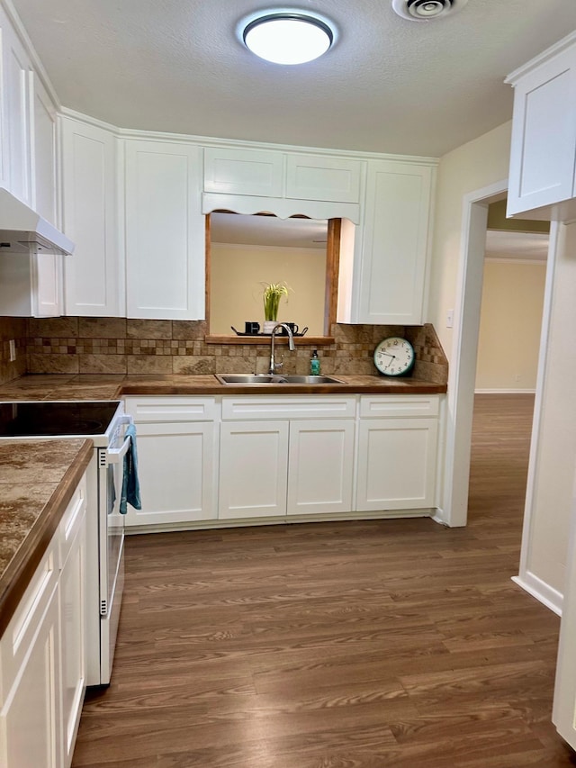 401 Camellia Ave, Orange, TX 77630 - kitchen featuring a sink, white electric range oven, backsplash, white cabinets, and dark wood finished floors
