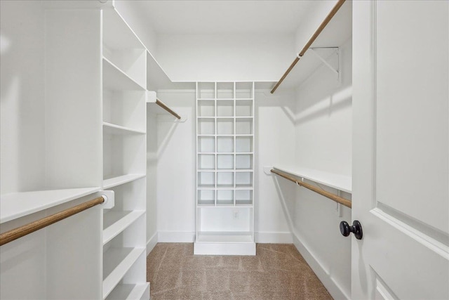 spacious closet featuring carpet