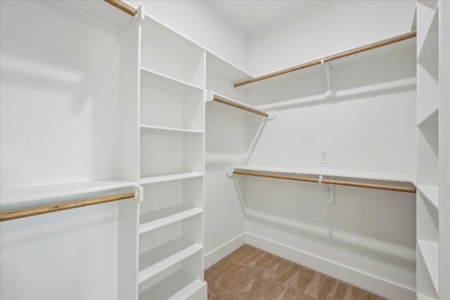 spacious closet featuring carpet floors