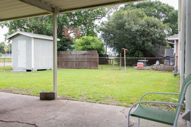 view of yard with a patio and a storage unit