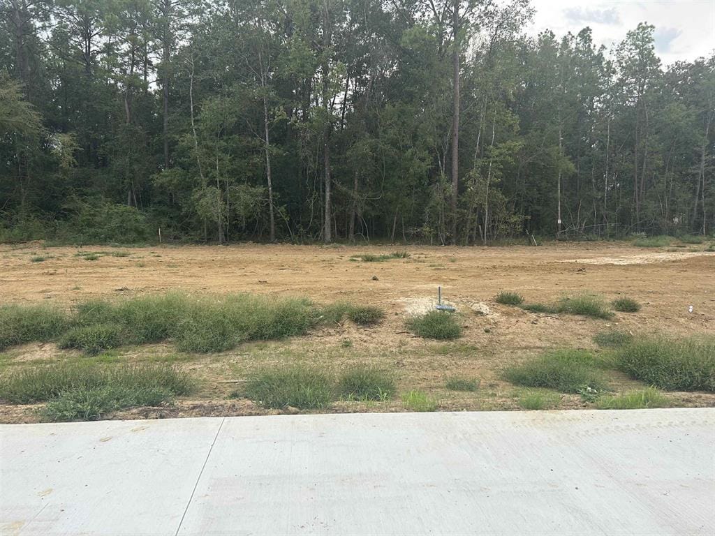 7880 Pixie Ln, Lumberton, TX 77657