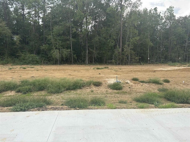 7880 Pixie Ln, Lumberton, TX 77657