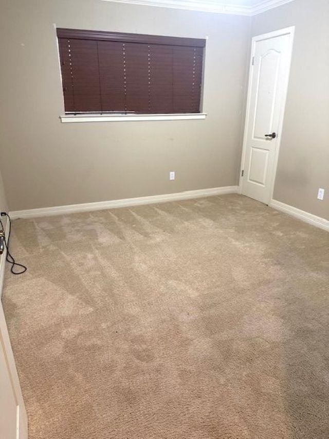 6845 Hialeah Dr, Beaumont, TX 77706 - empty room with light carpet, baseboards, and ornamental molding