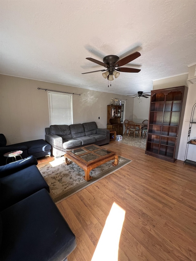 living room with ceiling fan, wood-type flooring, and a textured ceiling