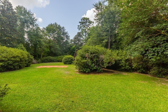 190 Magnolia Trl, Lumberton, TX 77657 - view of grassy yard