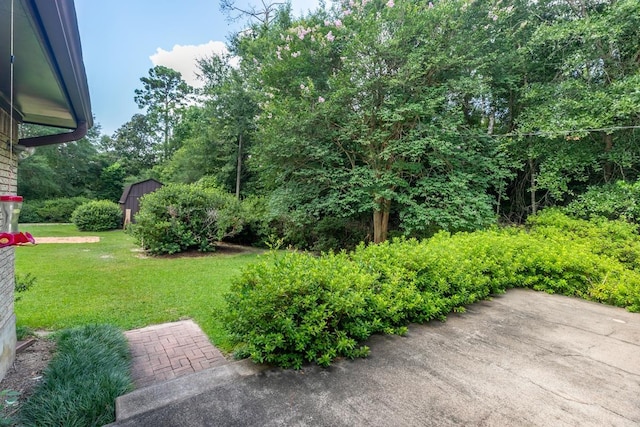 190 Magnolia Trl, Lumberton, TX 77657 - view of grassy yard with a shed