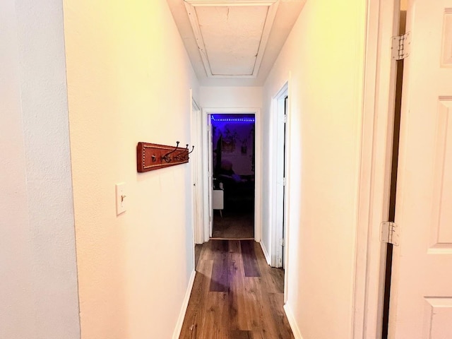 corridor with dark wood-type flooring