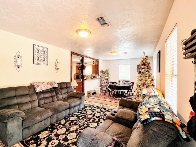 living room featuring a textured ceiling