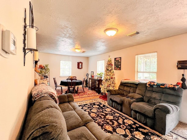 living room featuring plenty of natural light and a textured ceiling