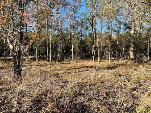 2945 Fm 2246, Buna, TX 77612 - photo 7