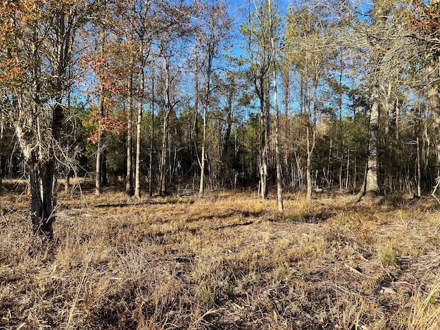 2945 Fm 2246, Buna, TX 77612 - photo 5