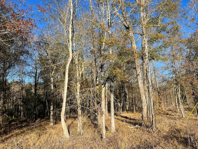2945 Fm 2246, Buna, TX 77612 - photo 3