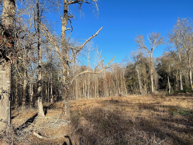 2945 Fm 2246, Buna, TX 77612 - photo 4