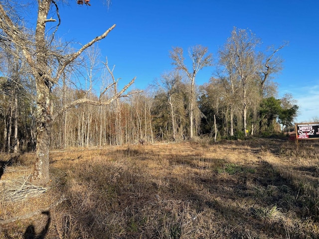 2945 Fm 2246, Buna, TX 77612 - photo 6