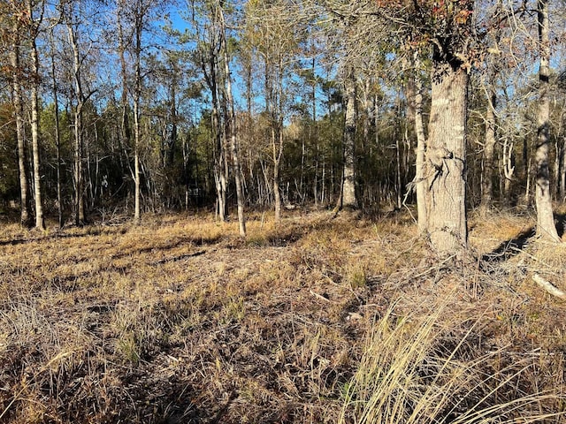 2945 Fm 2246, Buna, TX 77612 - photo 2