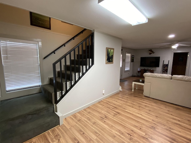 living room with ceiling fan and light hardwood / wood-style floors