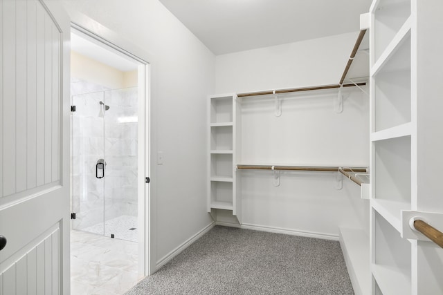 103 Ned, Lumberton, TX 77657 - view of walk in closet