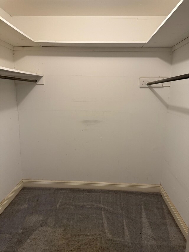 2328 Briarcliff Dr, Beaumont, TX 77706 - walk in closet featuring carpet floors