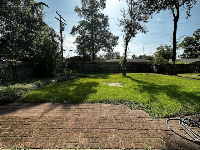 view of yard with a patio area