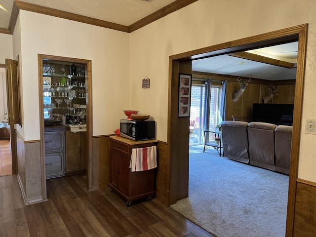 corridor with dark wood-type flooring, a wainscoted wall, and ornamental molding