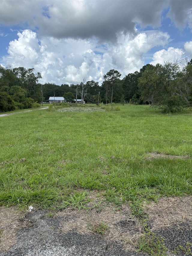 view of yard featuring a rural view