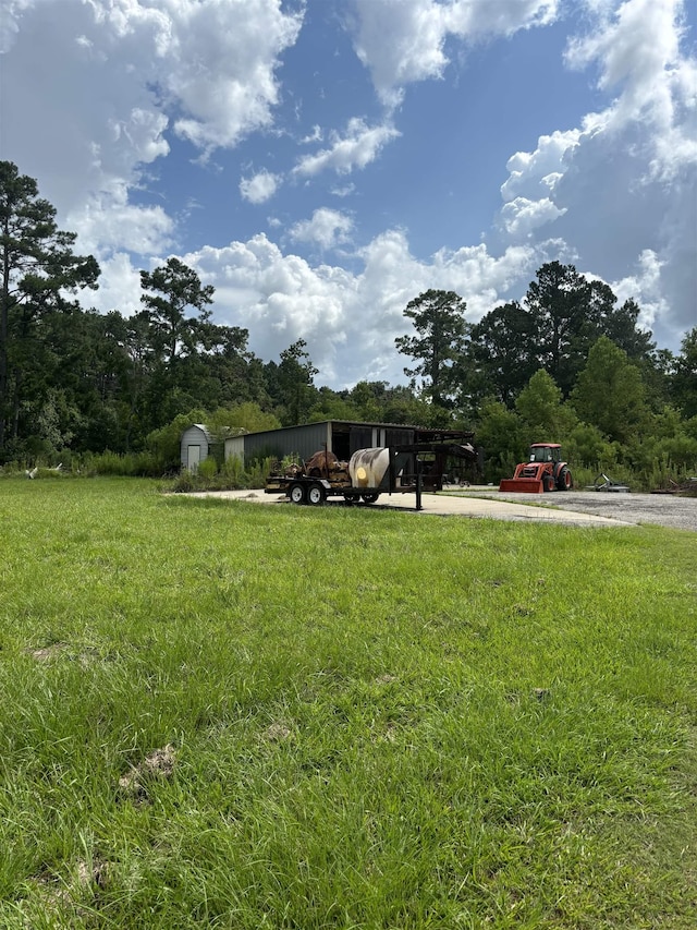 view of yard with a storage unit