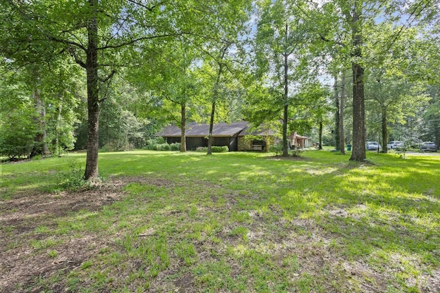 7775 River Rd, Beaumont, TX 77713 - view of green lawn