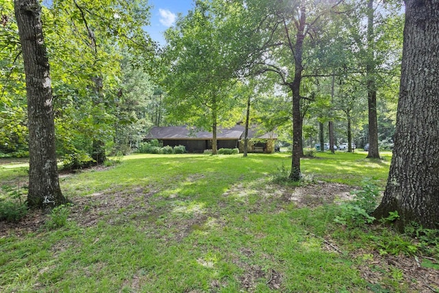 7775 River Rd, Beaumont, TX 77713 - view of green lawn with a wooded view