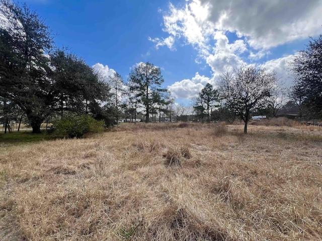 view of local wilderness featuring a rural view