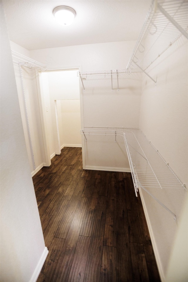 walk in closet with dark hardwood / wood-style floors