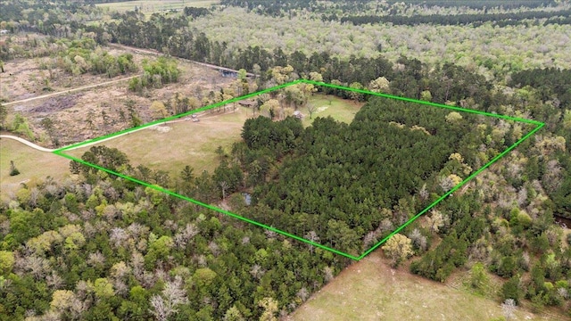 453 Private Road 8430, Bon Wier, TX 75928 - photo 31