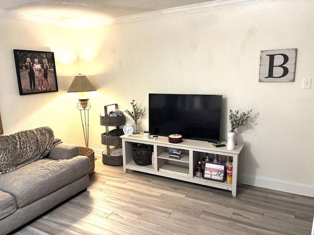 living room with crown molding and wood-type flooring