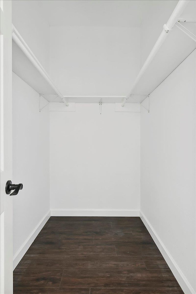 walk in closet with dark hardwood / wood-style floors