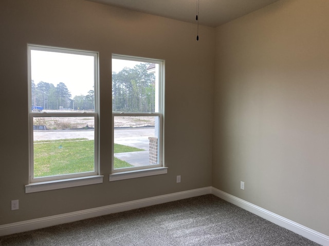 spare room featuring a wealth of natural light and carpet