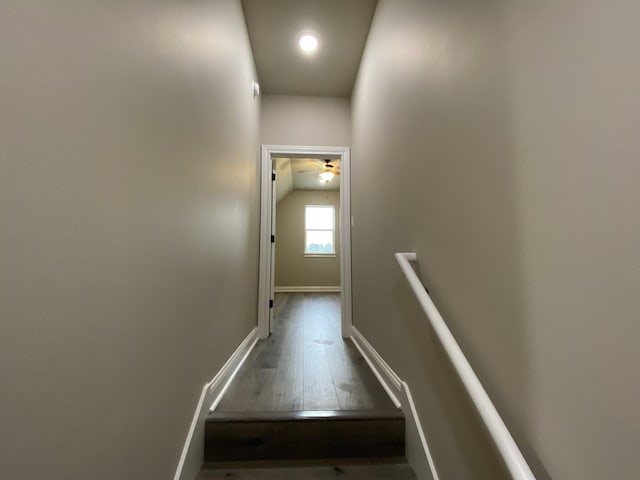 staircase featuring wood-type flooring