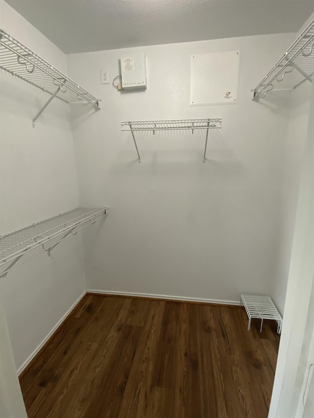 spacious closet with wood finished floors