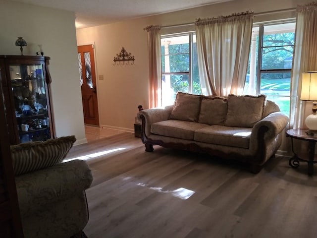 living room with hardwood / wood-style floors