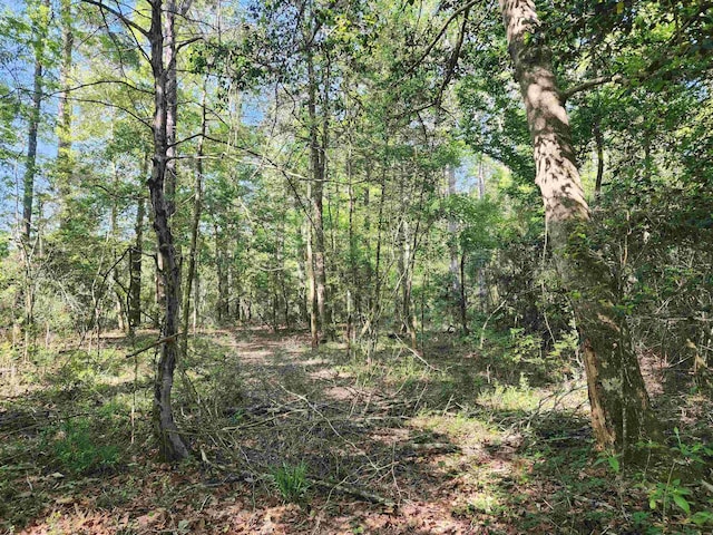 view of local wilderness with a view of trees