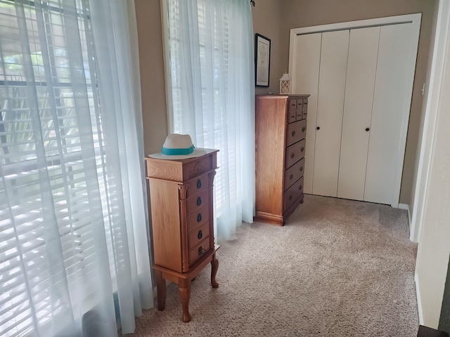 bedroom with a closet and carpet floors