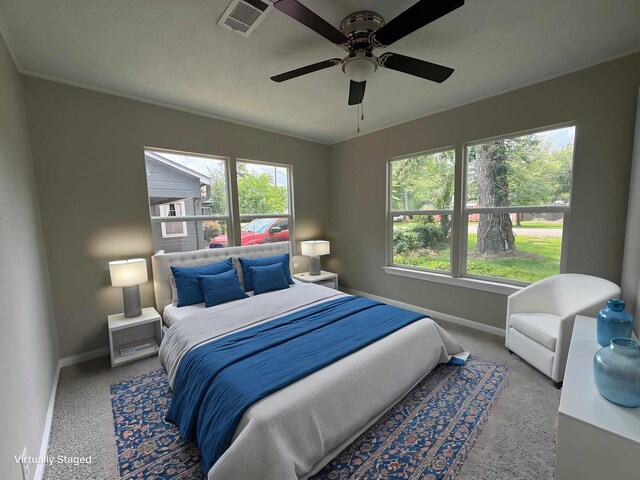 2370 Central Dr, Beaumont, TX 77706 - bedroom with baseboards, multiple windows, and carpet