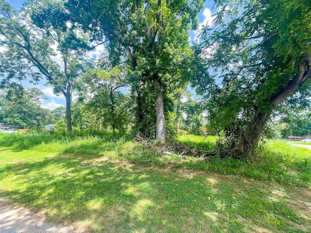 906 Red Oak, Vidor, TX 77662 - photo 1