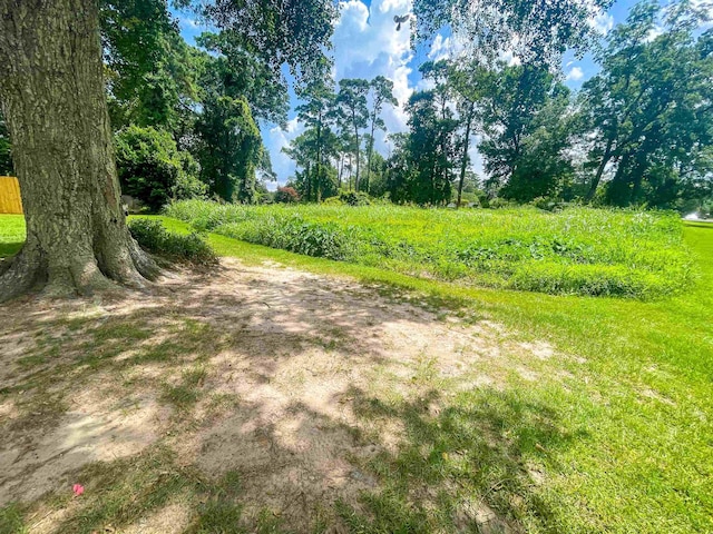 906 Red Oak, Vidor, TX 77662 - photo 9