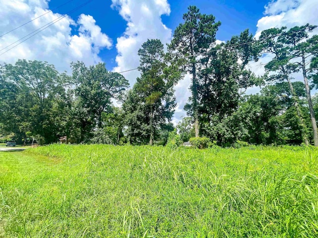 906 Red Oak, Vidor, TX 77662 - photo 4