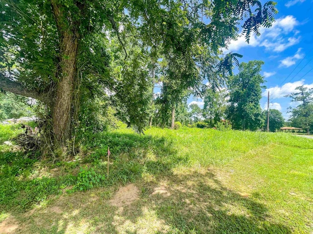 906 Red Oak, Vidor, TX 77662 - photo 2