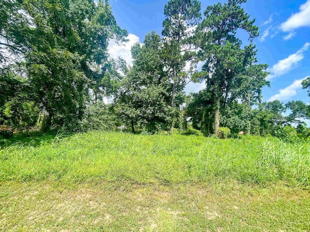 906 Red Oak, Vidor, TX 77662 - photo 3