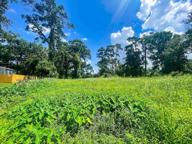 906 Red Oak, Vidor, TX 77662 - photo 10